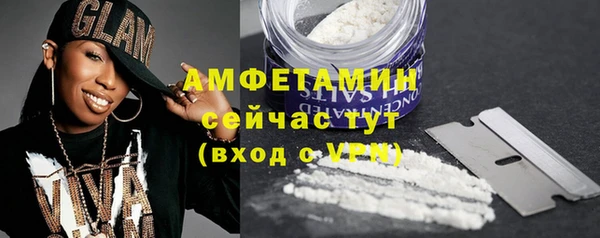 прущие грибы Чита