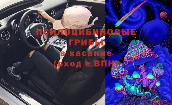 сатива Вяземский