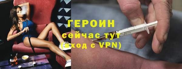 сатива Вяземский