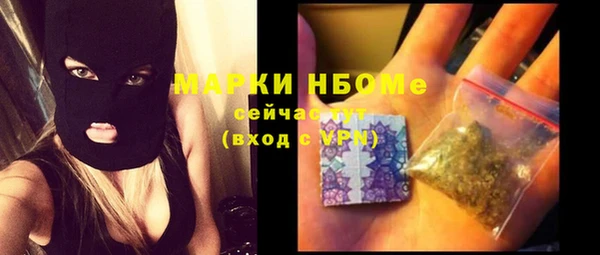 сатива Вяземский