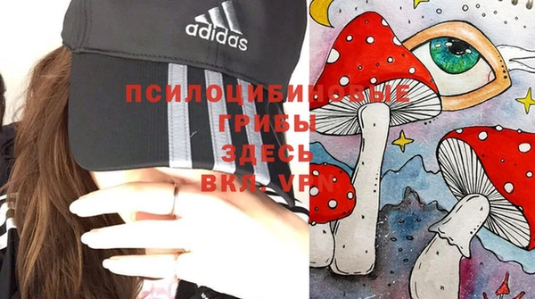 Альфа ПВП Архангельск