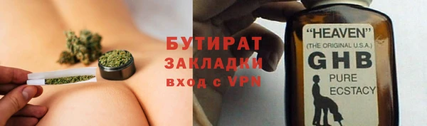 сатива Вяземский