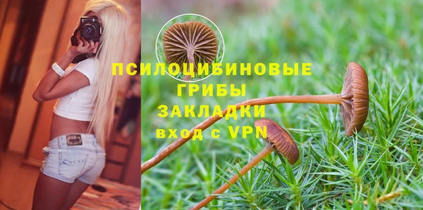 ешки Вязьма
