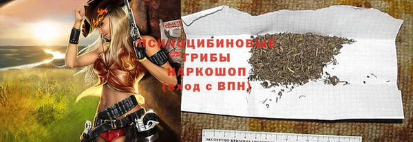 сатива Вяземский