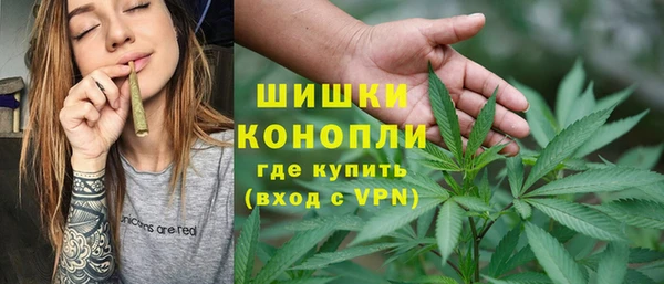 индика Нижний Тагил
