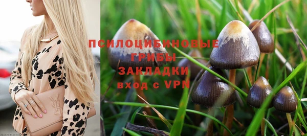 ешки Вязьма